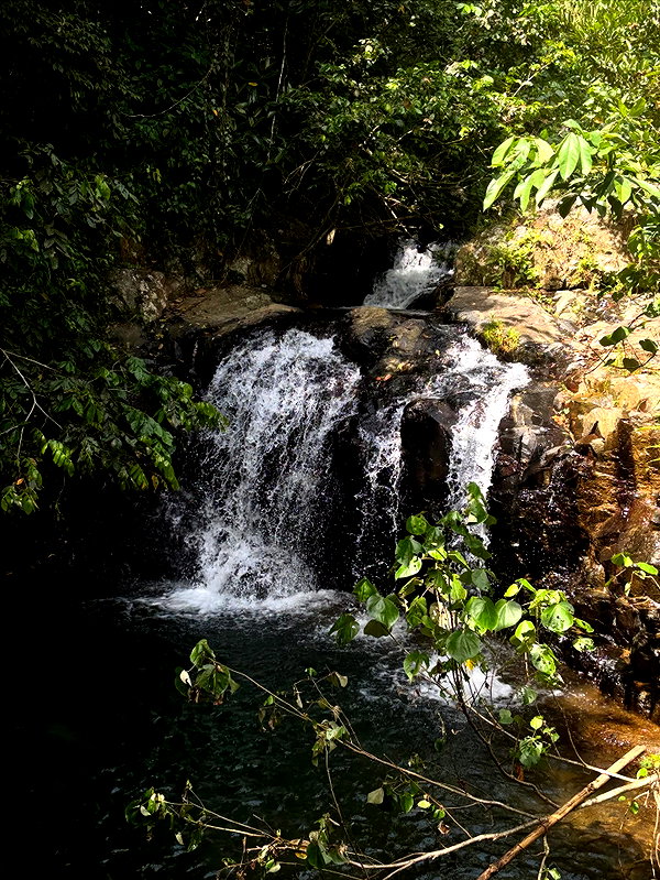 mosssaico instagram image archive image