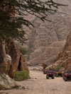 alishevs Altpins Profile Picture