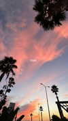 ___.ilana._ Altpins Profile Picture