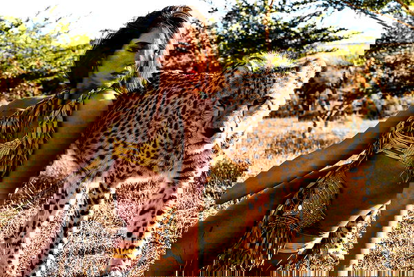 taylor.creeden taylor.creeden archive image