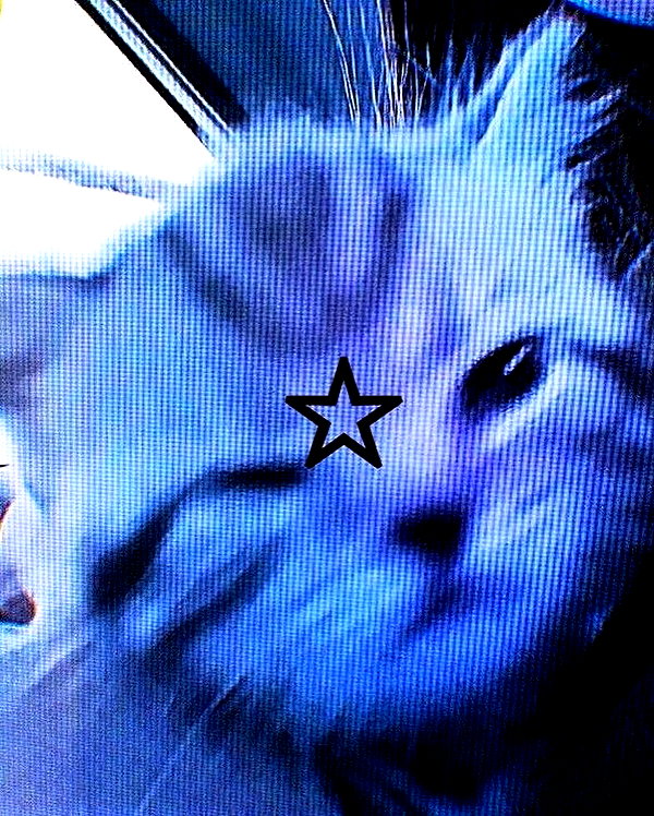 bakabakafuwa instagram image archive image