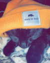 luucifina Altpins Profile Picture