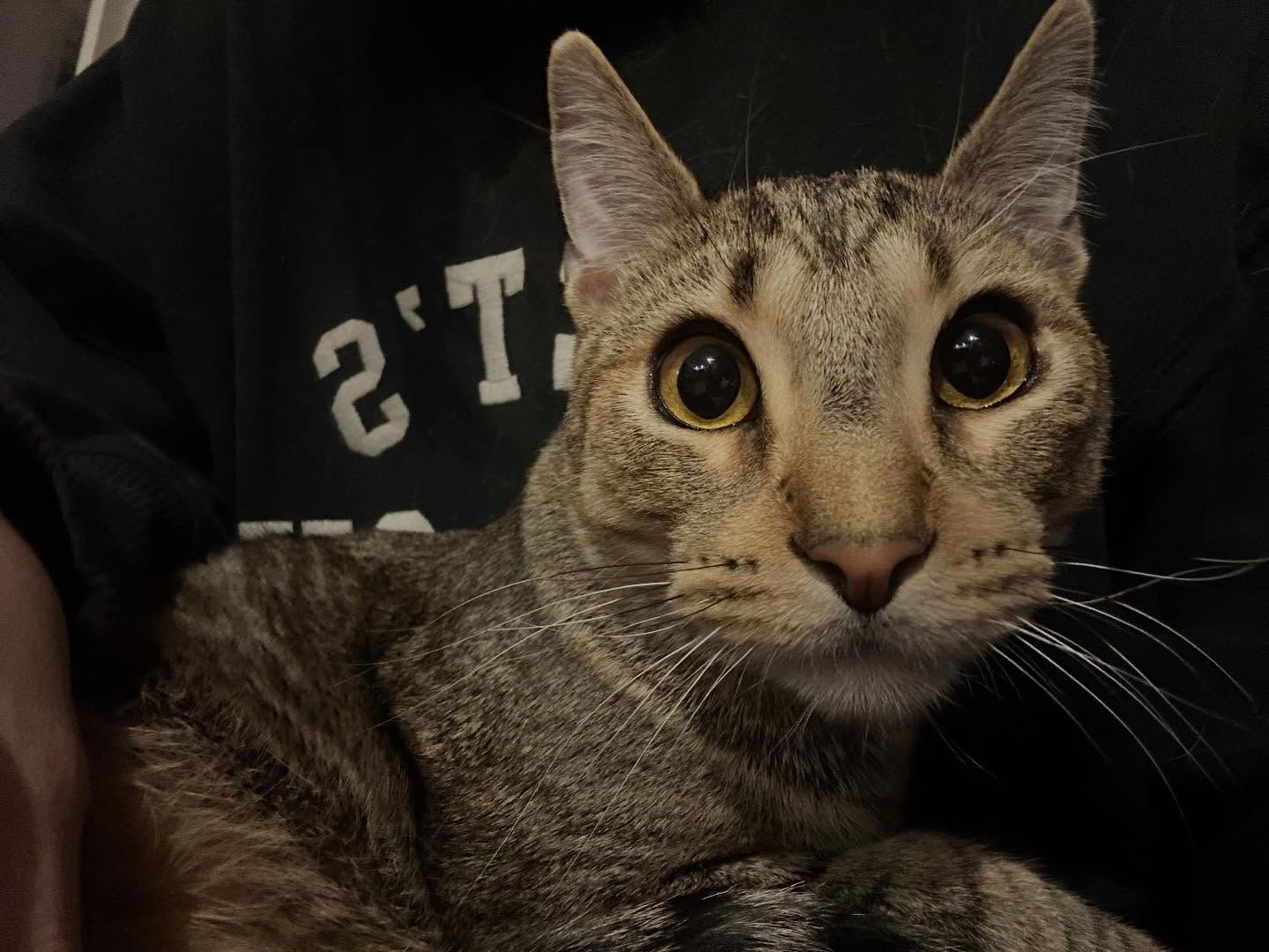 _animechika_ instagram image archive image