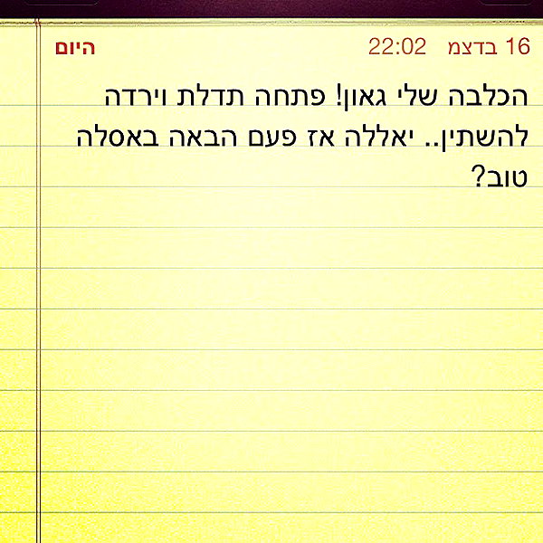 adihimelbloy instagram image archive image