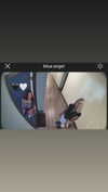 dreambabydrea Altpins Profile Picture