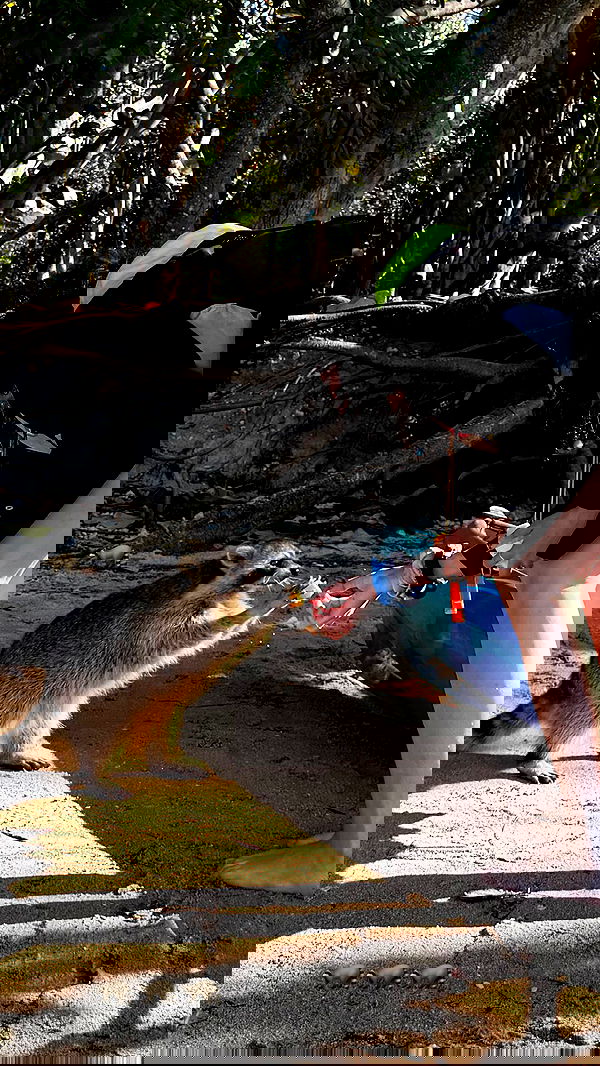 biton__adi biton__adi archive image