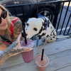 sabrvna Altpins Profile Picture
