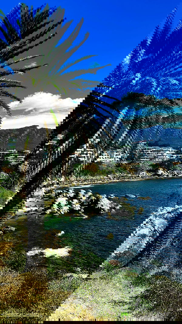 taylor.creeden taylor.creeden archive image