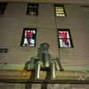 bugz4brainz Altpins Profile Picture