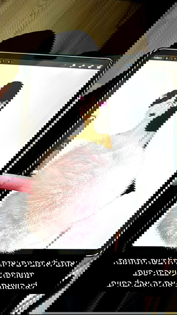 itsilanosh itsilanosh archive image