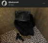 djbabysosh Altpins Profile Picture
