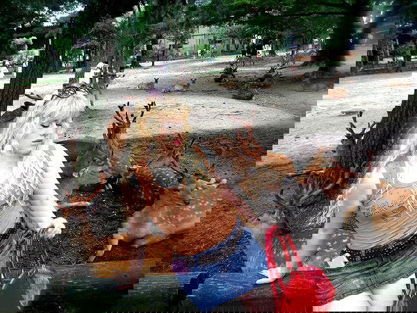 ormosheee ormosheee archive image