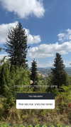 ofri.elul Altpins Profile Picture