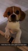 kyla.doddsss Altpins Profile Picture
