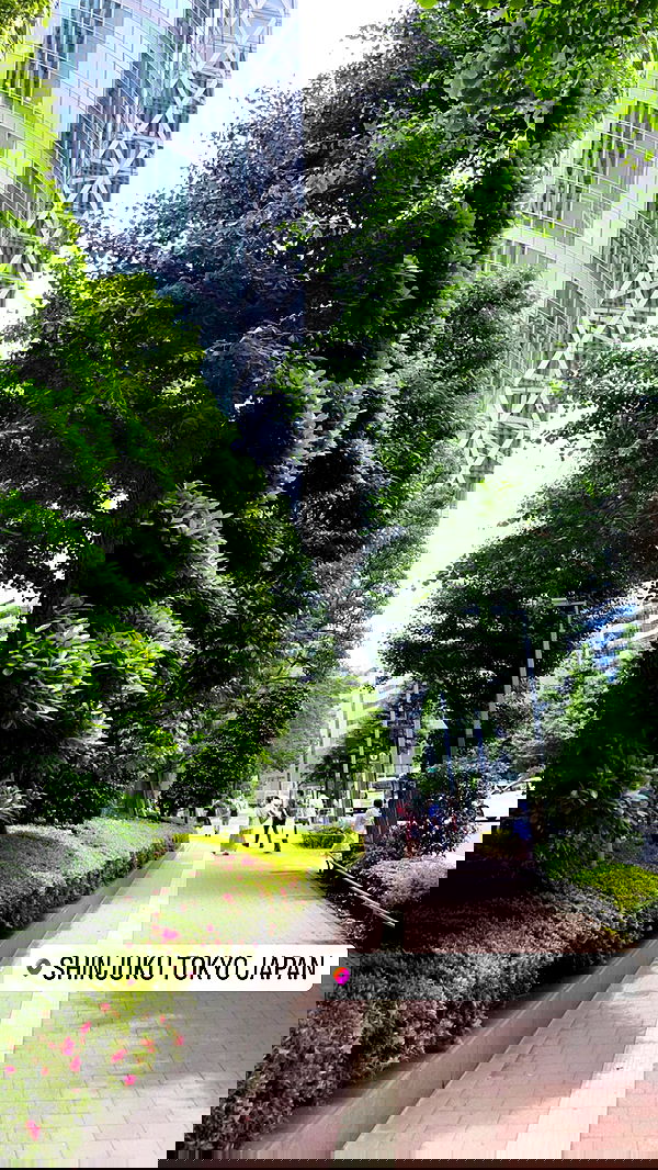 silkton image ~ Altpins