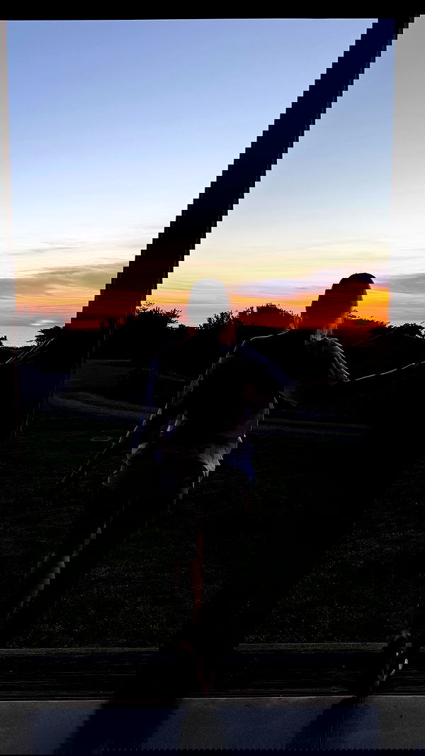 carolinezalog carolinezalog archive image