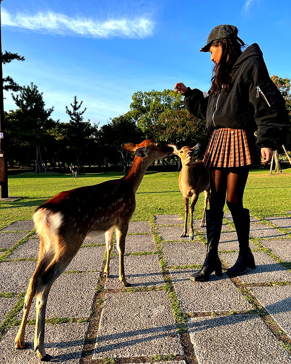 sabiyo instagram image archive image