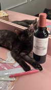 leonanaomii Altpins Profile Picture