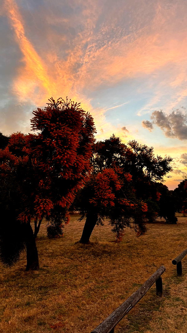 jtilb instagram image archive image