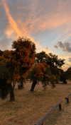 jtilb Altpins Profile Picture