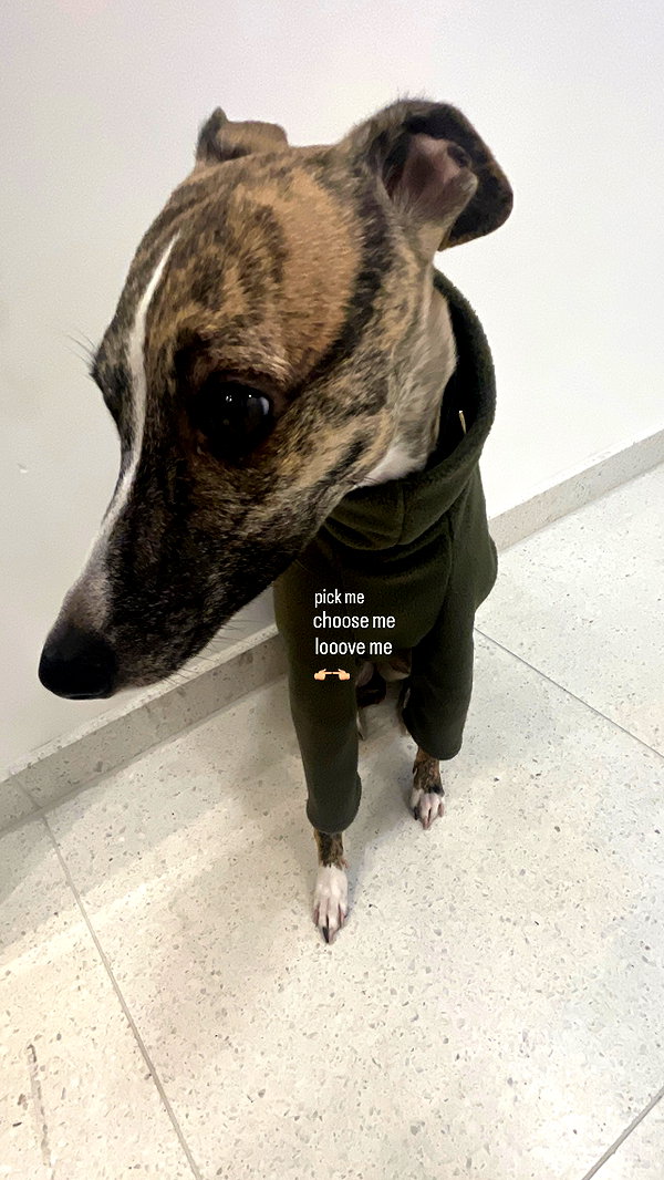 lilih instagram image archive image