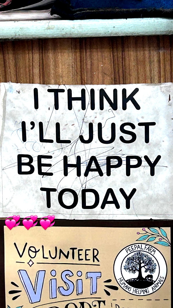 tamar_tsur instagram image archive image