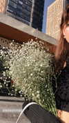 maruliners Altpins Profile Picture