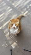 taylorcattanach Altpins Profile Picture