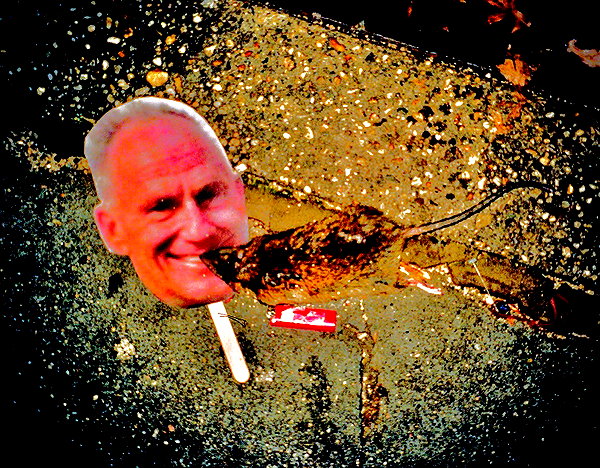 bugz4brainz instagram image archive image