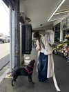 fair_mua Altpins Profile Picture