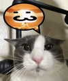 _urbaneva Altpins Profile Picture