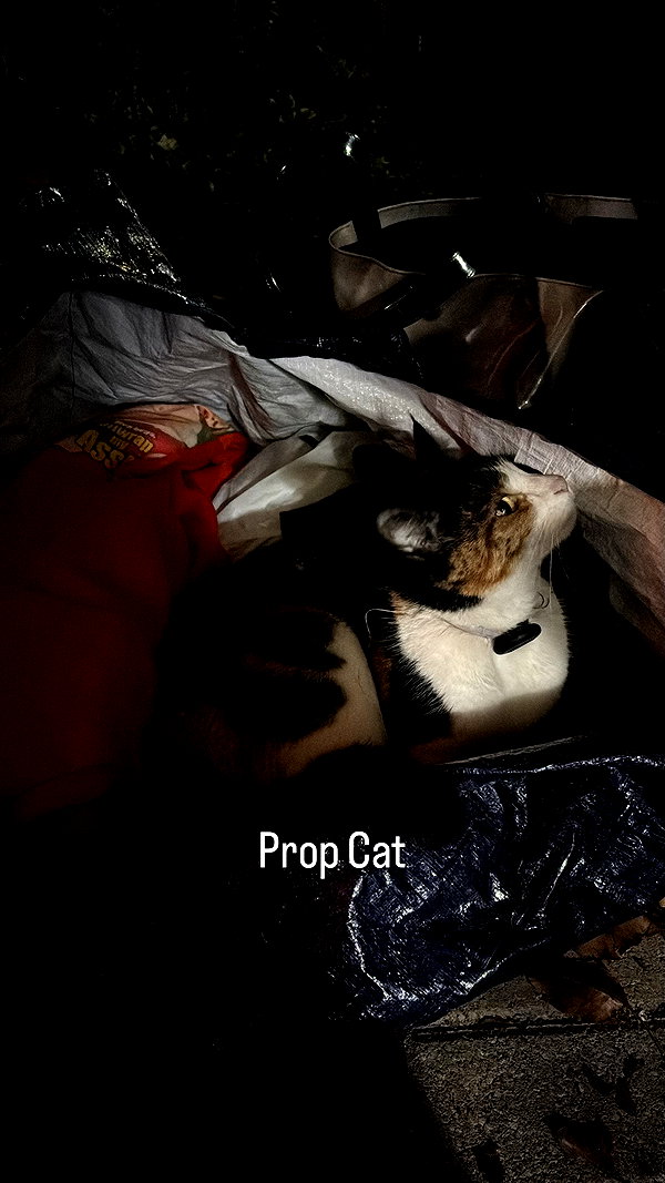 Archived image from @hannahdollas on Instagram