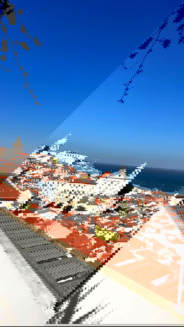 taylor.creeden taylor.creeden archive image