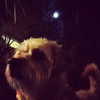 alexandradaddario Altpins Profile Picture