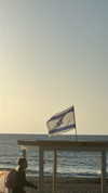 yaarat11 Altpins Profile Picture