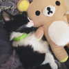 jadelaverne Altpins Profile Picture
