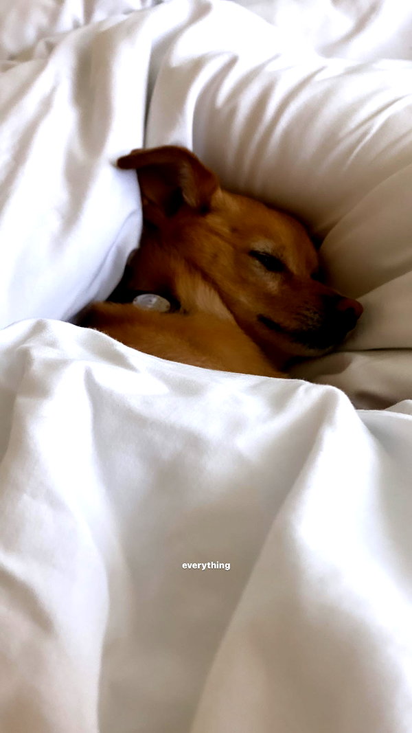 arianagrande instagram image archive image