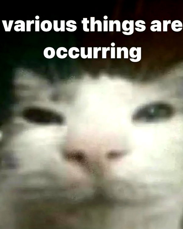 grogusmami instagram image archive image