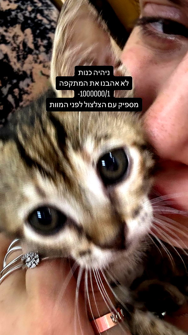 rei.sigalov instagram image archive image