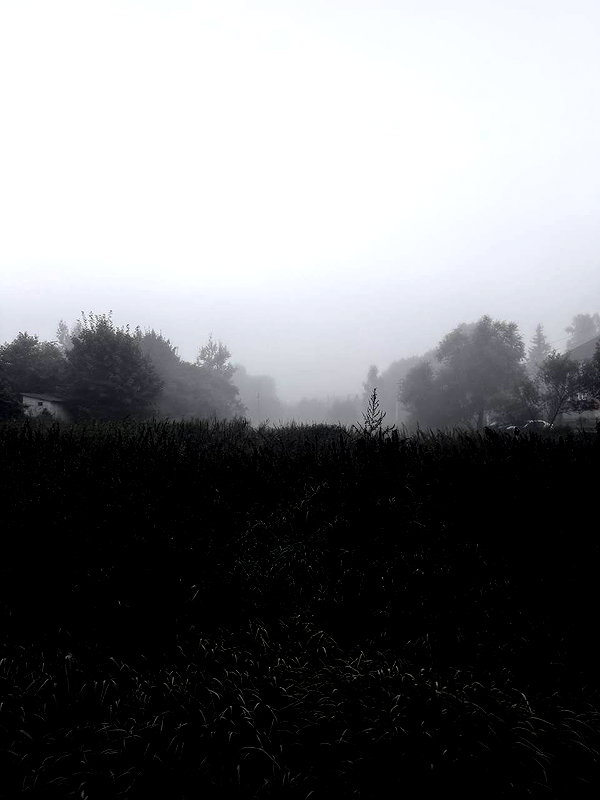 Archived image from @kk3tr1n4 on Instagram