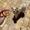 madelame Altpins Profile Picture