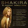 shakira Altpins Profile Picture