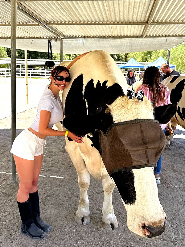 sophiemudd instagram image archive image