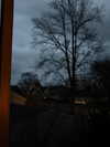 kimberr_0000 Altpins Profile Picture