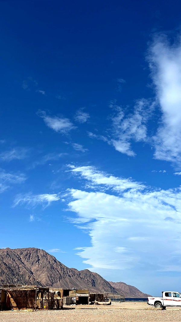 iinfusiia instagram image archive image