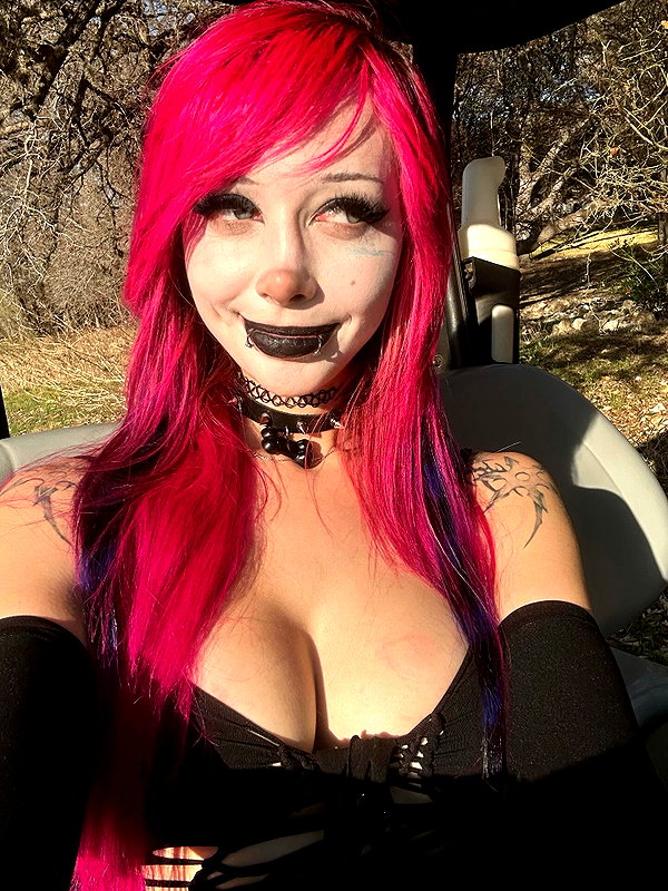 pixelpuppi instagram image archive image