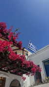 shir_revivo1 Altpins Profile Picture