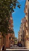 ancideja Altpins Profile Picture