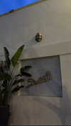 dekota_thompson Altpins Profile Picture
