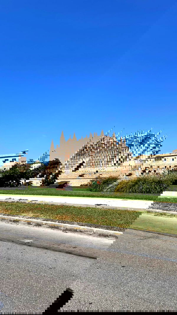 shunli__mei image ~ Altpins